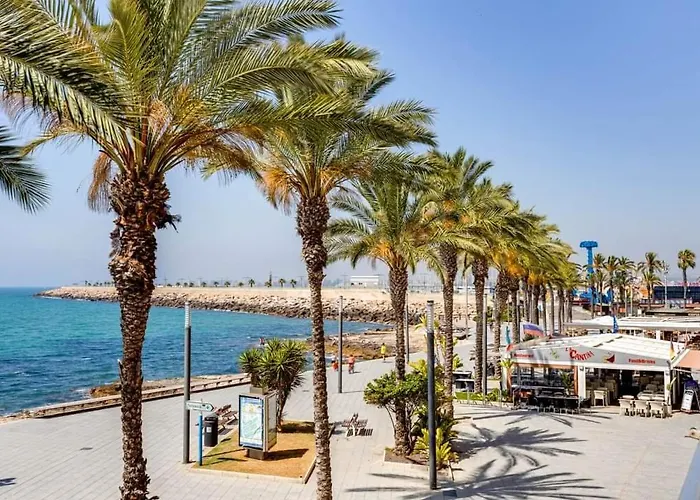Monivo Near Center And Torrevieja